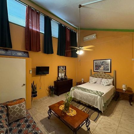 Shalom Suite 2, Manor Park คิงส์ตัน ภายนอก รูปภาพ
