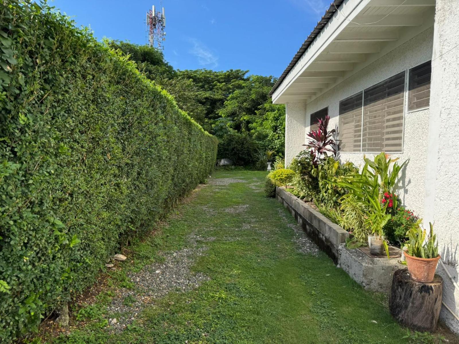 Shalom Suite 2, Manor Park คิงส์ตัน ภายนอก รูปภาพ